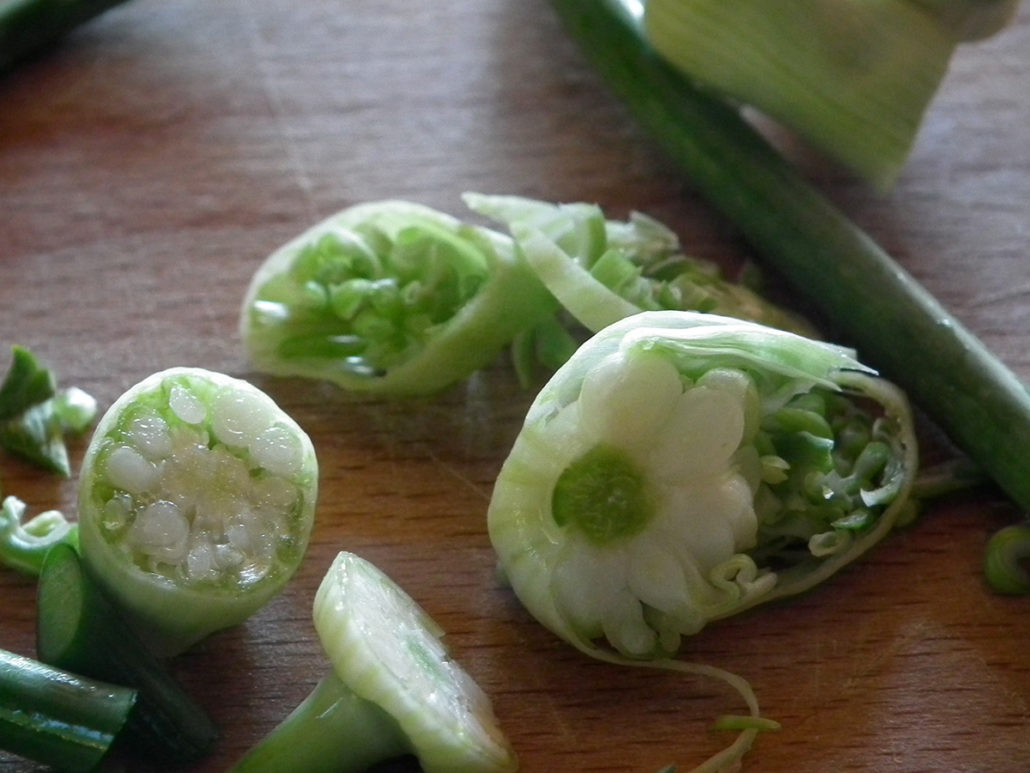 Close-up of fresh garlic scapes.