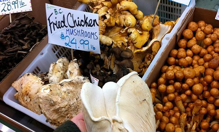 A variety of market mushrooms including a fantastic Ontario abalone mushroom.