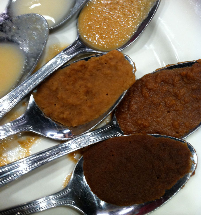 Close-up of six spoonfuls of roux depicting its six cooking stages: white, blond, caramel, golden-brown, deep golden-brown and mahogany-brown, used in New Orleans cuisine. 