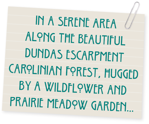 In a serene area along the Dundas escarpment, hugged by a wildflower and prairie meadow garden...