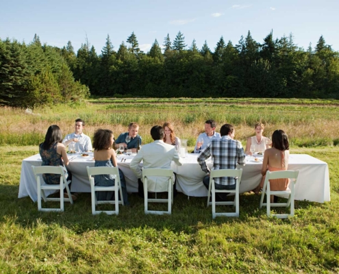 An outdoor dinner party gathering in a field.