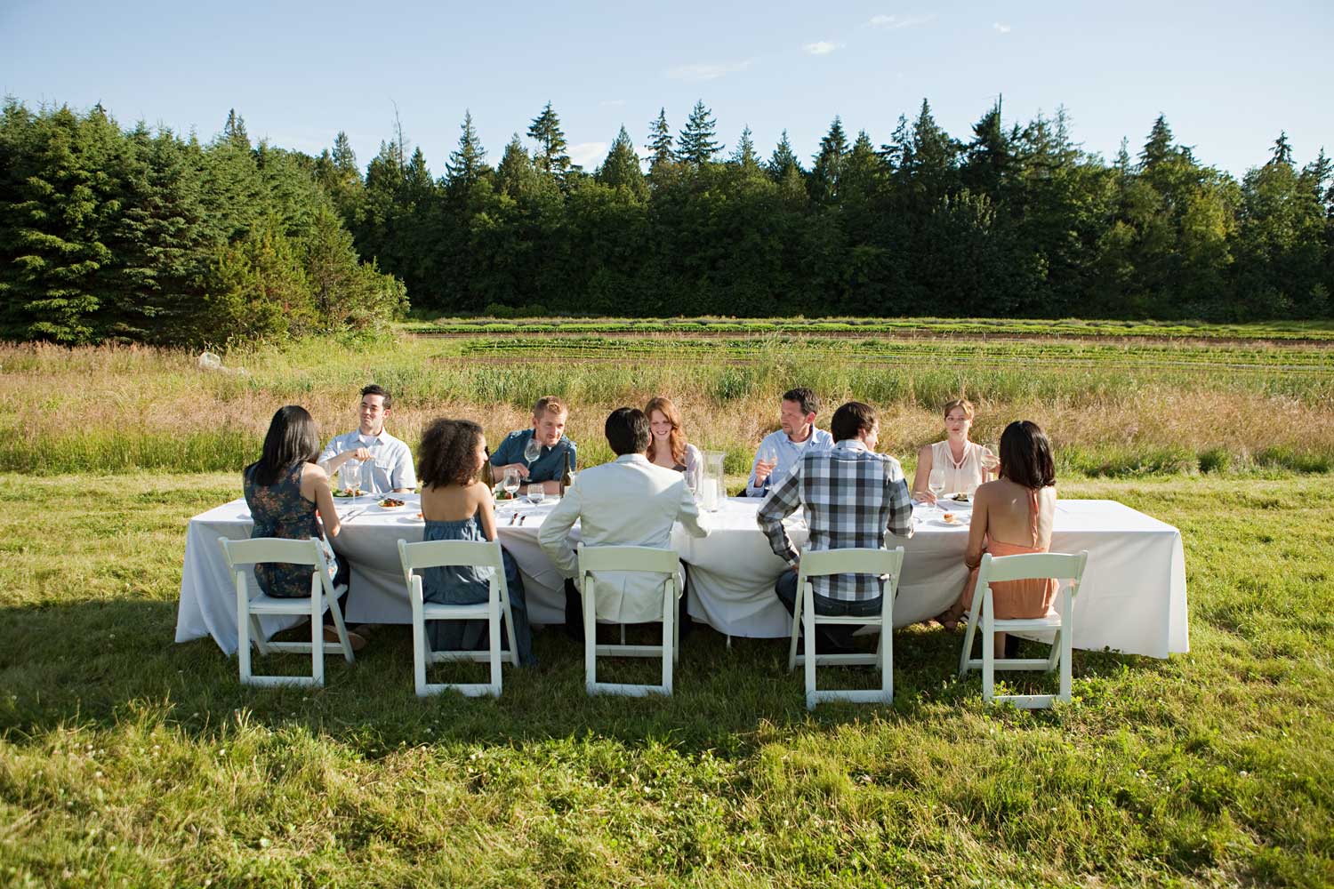 An outdoor dinner party gathering in a field.