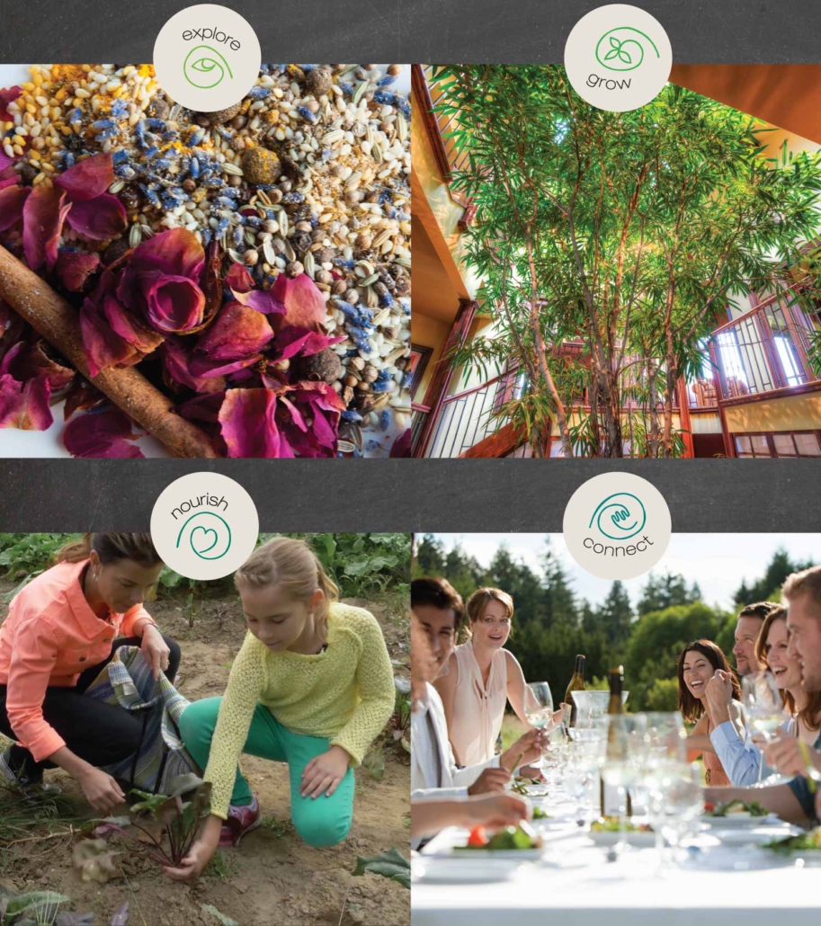 Tree House Kitchen's philosophy is depicted by seeds and spices, a growing tree, a child picking organic vegetables, and friends connecting over the dinner table.